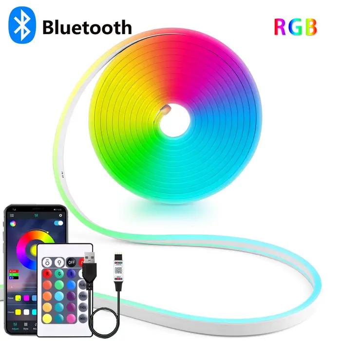 Bande Néon LED RGB USB DC5V, 1/2/3/4/5m, Étanche IP65, Application Bluetooth et Télécommande pour Éc