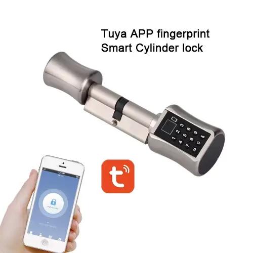 Serrure de porte intelligente sans clé