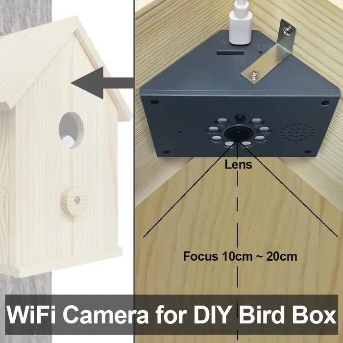 Caméra WiFi HD Tuya Smart Life pour nichoir à oiseaux