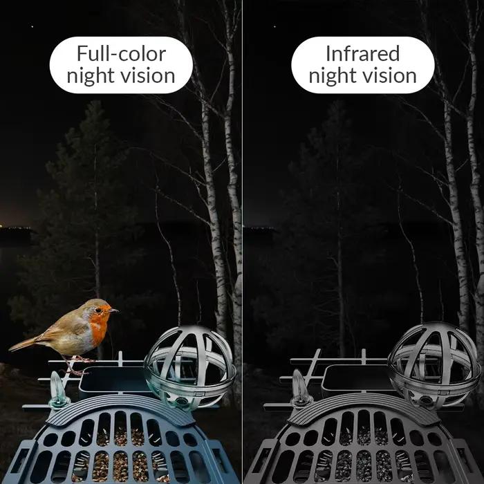 Caméra d'alimentation pour oiseaux HD 4MP