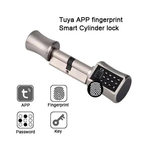 Serrure de porte intelligente sans clé