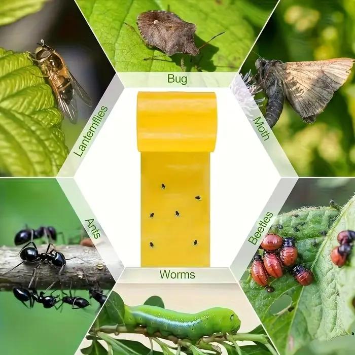 1 rouleau de ruban adhésif anti-insectes double face jaune pour empêcher les insectes