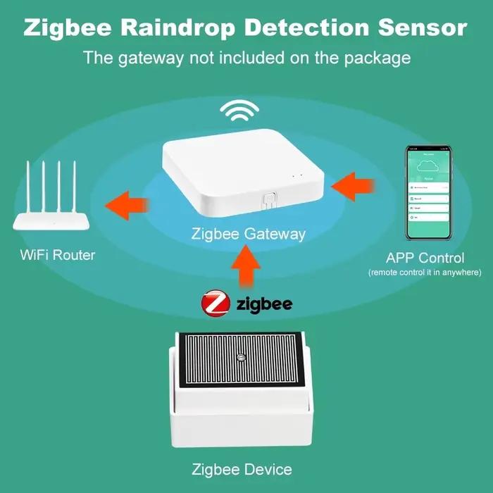 Capteur de pluie Tuya Zigbee 2 en 1