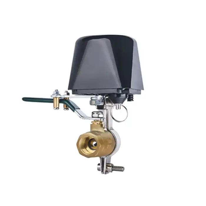Vanne à bille d'arrêt de manipulateur automatique électrique 1/2 "3/4" 1 "DN15/DN20/DN25 pour alarme gaz conduite d'eau 12V 1A