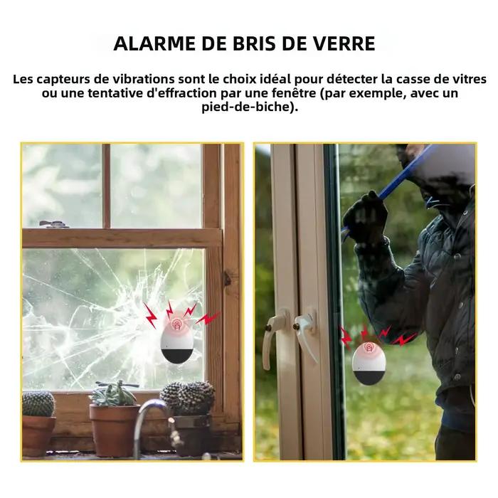 Alarme de porte et de fenêtre à vibration
