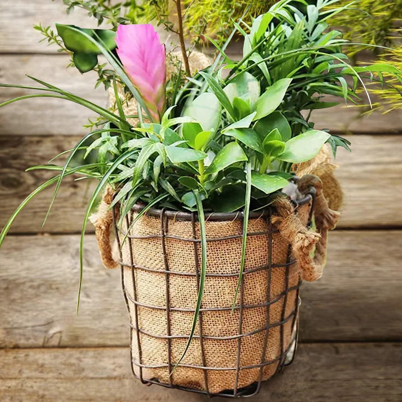 63 po. Rouleau de toile de jute pour jardinage, tissu naturel pour barrière contre les mauvaises her