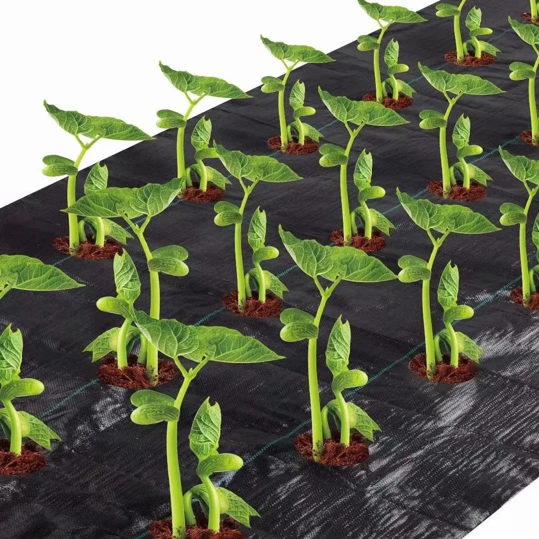 Easy-Plant Weed nights pour lit suréWer, tapis de jardin extérieur, polymères de jardin, trou de pla