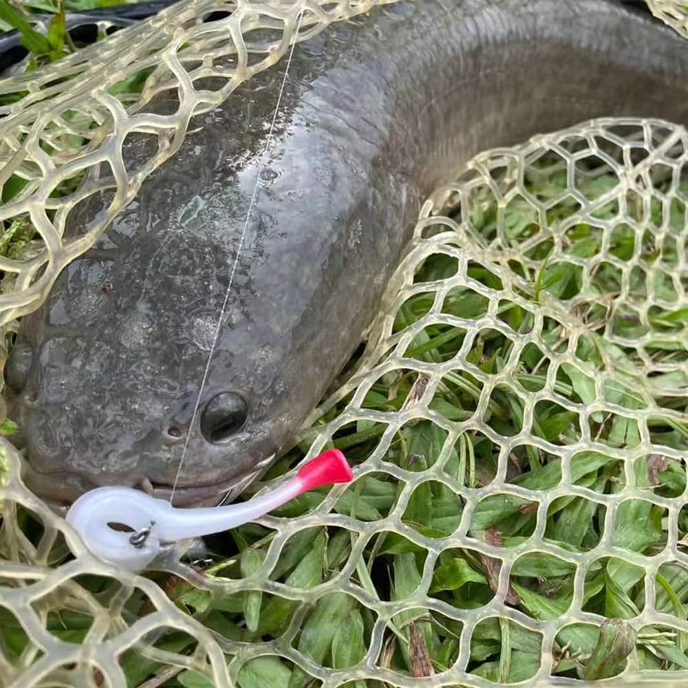 JOHNCOO 6 pièces TPR appât souple queue de pagaie Swimbait 70mm 2.3g leurre de gabarits appâts artif