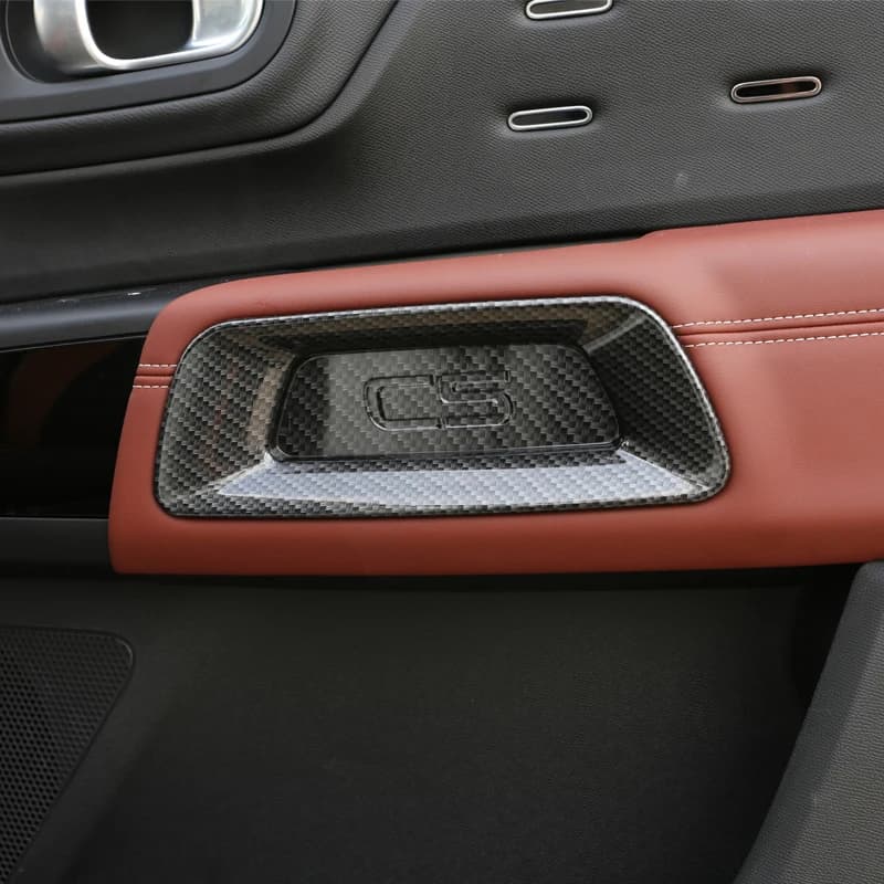 Boîte de rangement de porte pour citroën C5 Aircross 2017 2018 20198 2020-2021, main courante, acces
