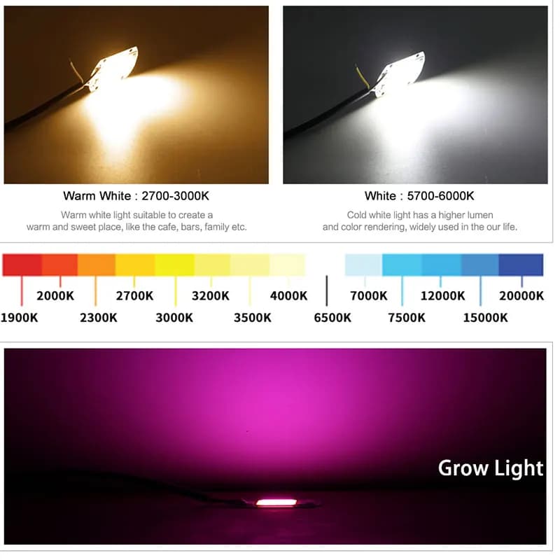 6 pièces/lot COB lampe à LED puce Diode grandir plante lumière AC 110V 220V 10W 20W 30W 50W LED perl