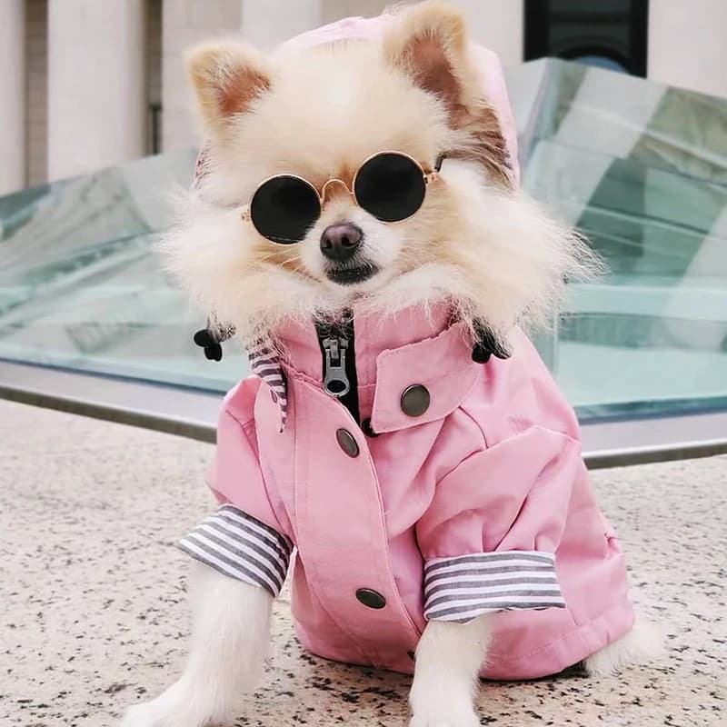 Manteau imperméable pour chien de compagnie, pour petits, moyens et grands chiens, veste coupe-vent,