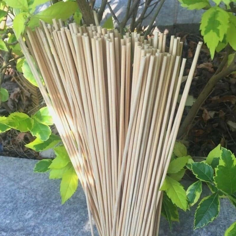 Bâtons en bois de bambou de 40cm, 50 pièces, bâtons professionnels pour plantes de jardin, cannes à 