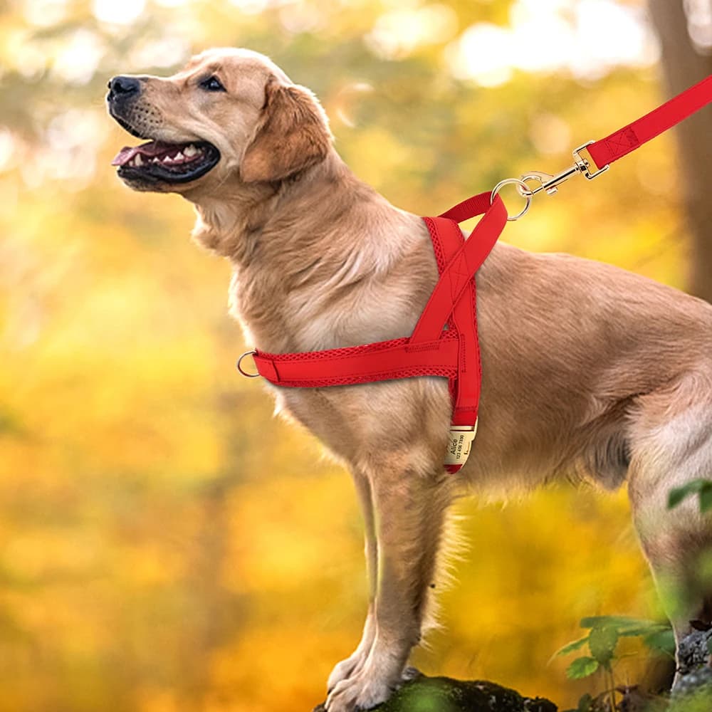 Harnais pour chien personnalisé sans traction, gilet d'entraînement de marche réglable pour animaux 