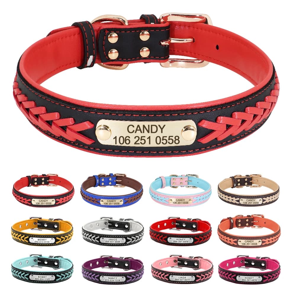 Collier de chien personnalisé en cuir rembourré pour chiens, colliers tressés, gravure gratuite, éti