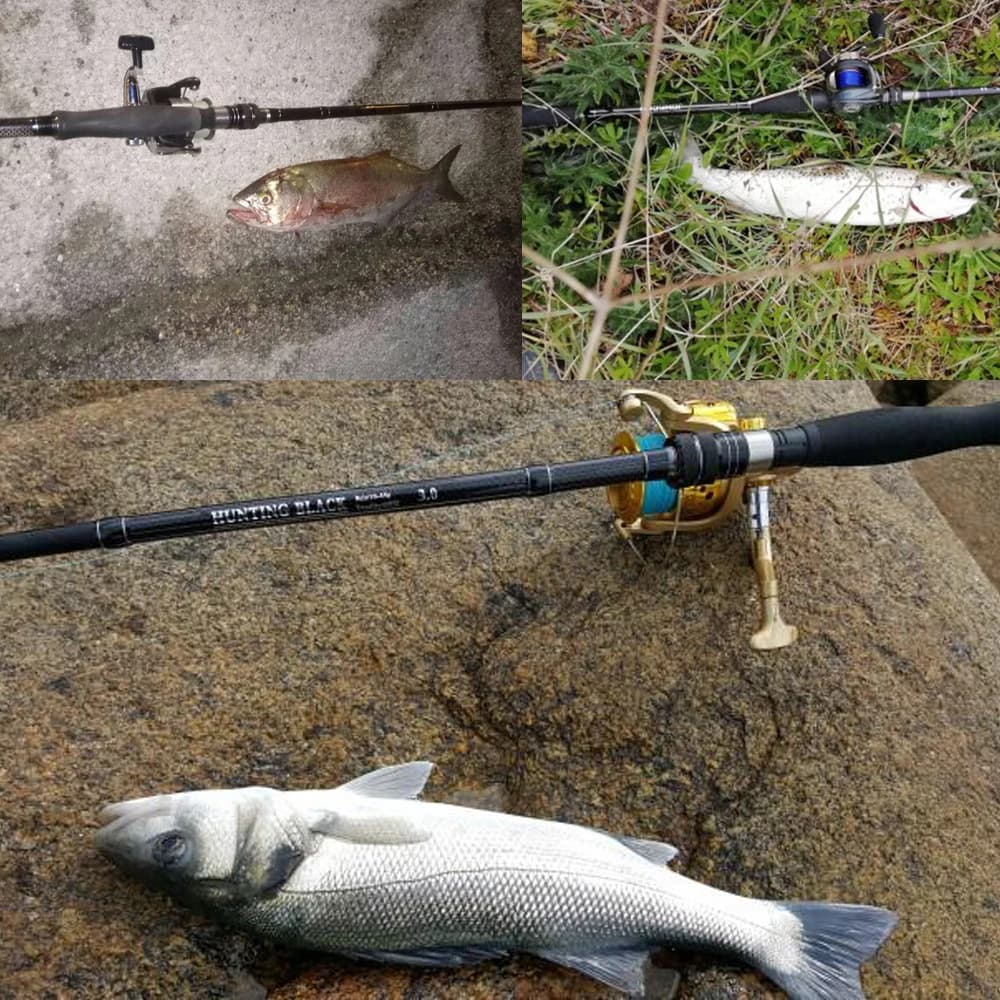 JOHNCOO 2.7m 3.0m 3 sections canne à pêche en carbone H/MH puissance 2 conseils tige de coulée rotat