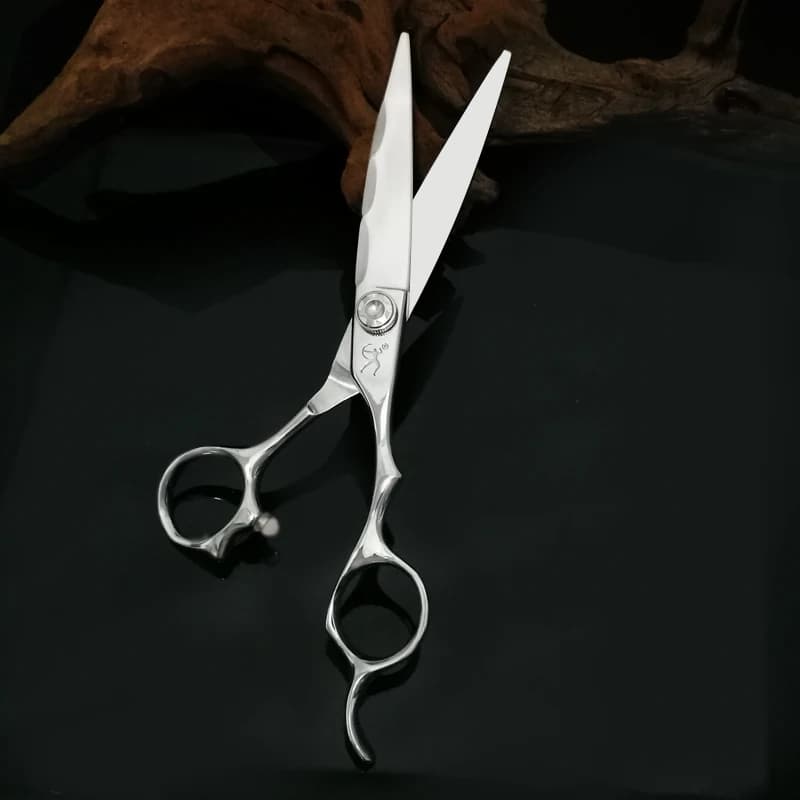 TITAN japon Original professionnel ciseaux de coiffure professionnel barbier ciseaux ensemble coupe 