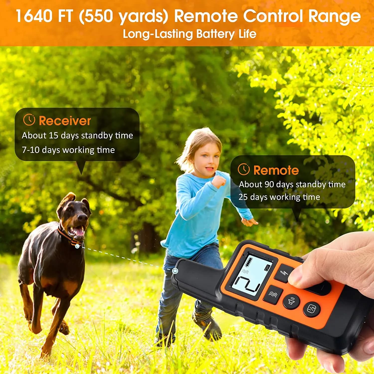 Collier de dressage pour chien colliers de choc rechargeables imperméables pour chien avec bip d'ent