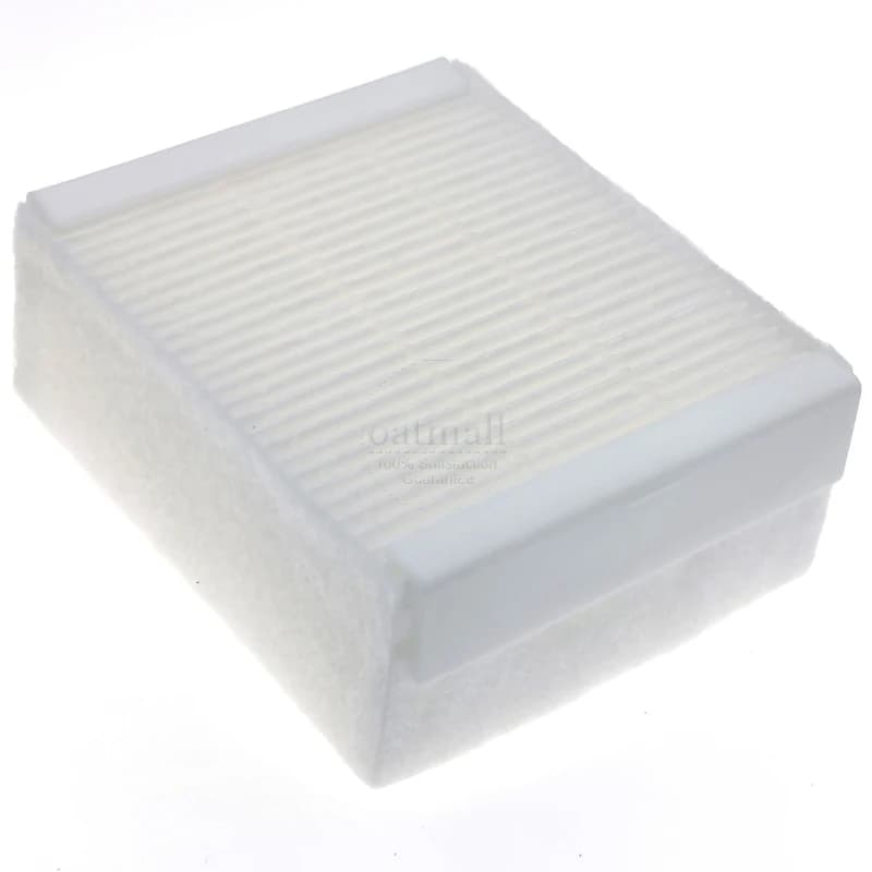 Pièces de rechange pour filtre HEPA Thomas Aqua, accessoires pour aspirateur Thomas Dry Box / Twin X