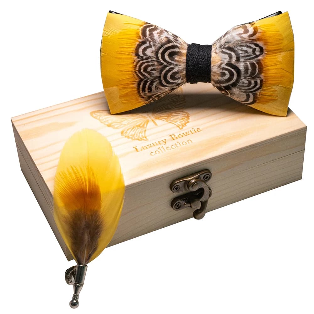 JEMYGINS Original nouveau Design nœud papillon plume naturelle exquise fait à la main hommes luxe no