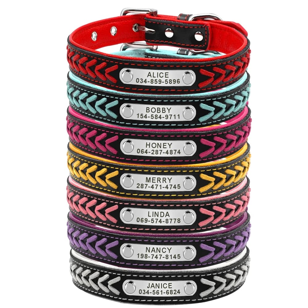 Collier de chien personnalisé en cuir rembourré pour chiens, colliers tressés, gravure gratuite, éti