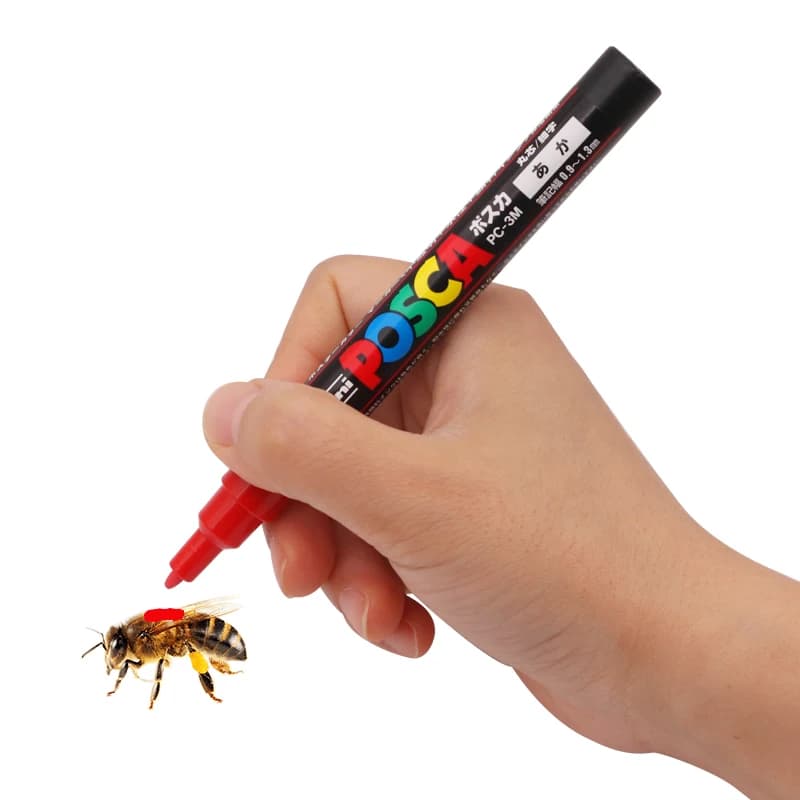 5 pièces 8 pièces/lot marqueur d'abeille LED surligneur marques stylo reine abeille marqueur stylo 8