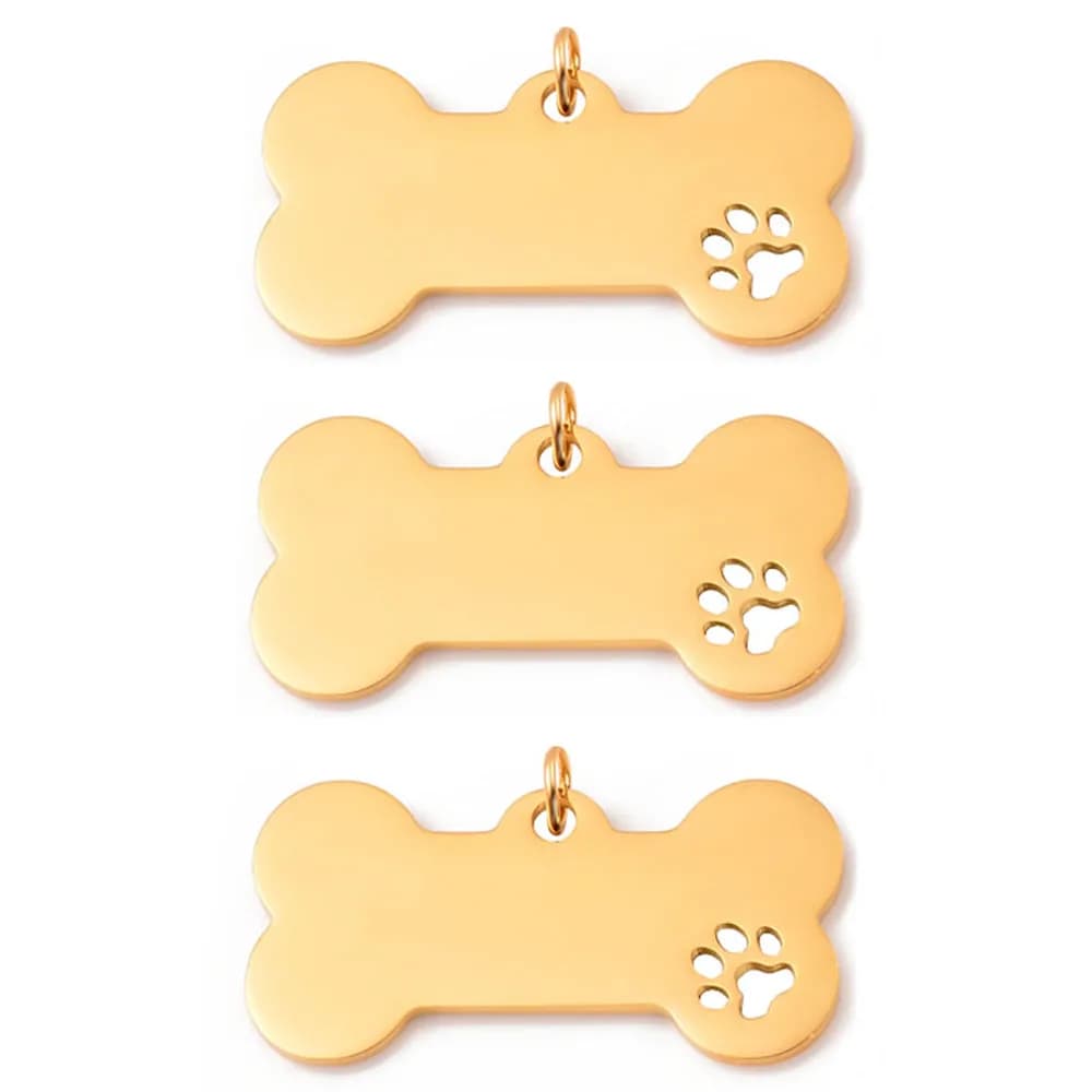 Étiquette militaire en acier inoxydable pour chien de compagnie, pendentif patte de chien creuse, br