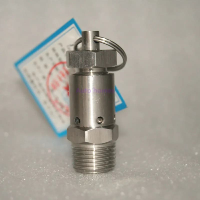 Soupape de sécurité à ressort réglable, acier inoxydable, SS304, 1bar, 2bar, filetage mâle, 1/4 ", 1