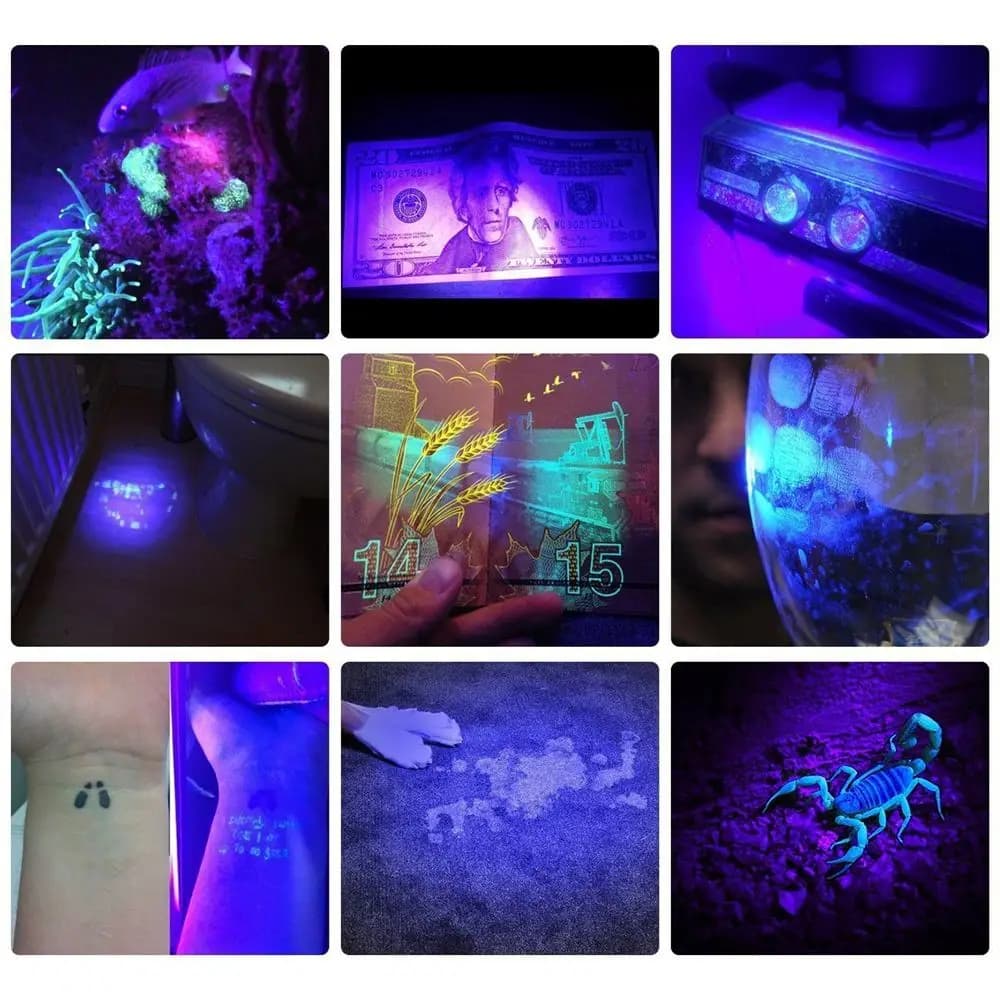 Lampe de poche LED UV haute luminosité 10W, 365nm/395nm, marqueur d'encre invisible, lumière structu