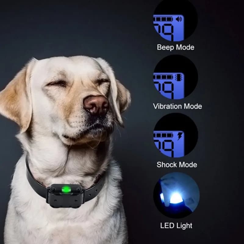 Collier de chien collier de formation pour chien électrique affichage LCD Rechargeable pour collier 