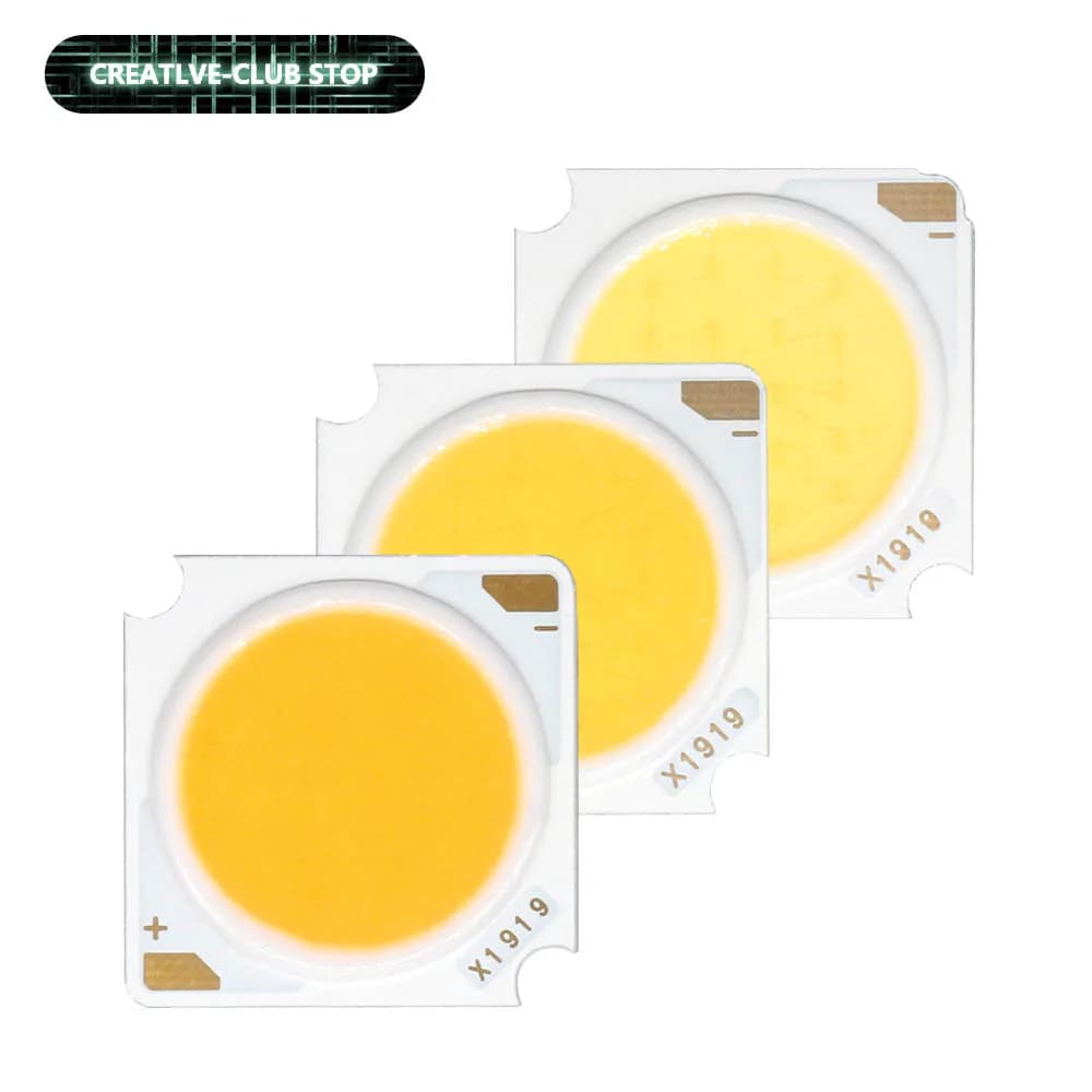 10 pièces 1919 10W 20W 30W 40W LED COB puce Diode électroluminescente importée Bridgelux puce de cri