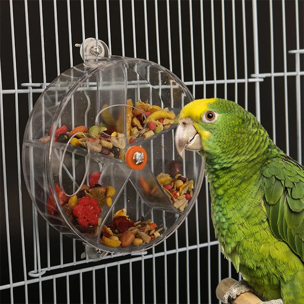 Jouet de recherche de nourriture pour perroquet rotatif, jouet créatif à mâcher pour morsure d'oisea