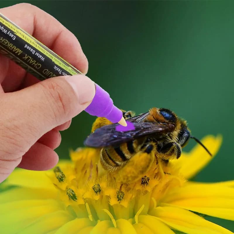 5 pièces 8 pièces/lot marqueur d'abeille LED surligneur marques stylo reine abeille marqueur stylo 8