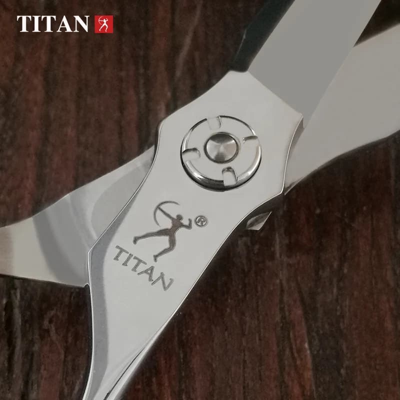 Ciseaux de coiffure professionnels Titan, ciseaux de coiffeur, outil de barbier amincissant de 6.0 p
