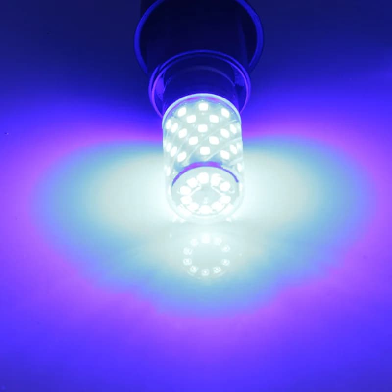 Bombilla B22 12W Led ampoule de maïs 12v 24v 36v 48v 60v 110v 220v projecteur basse tension lampe à 