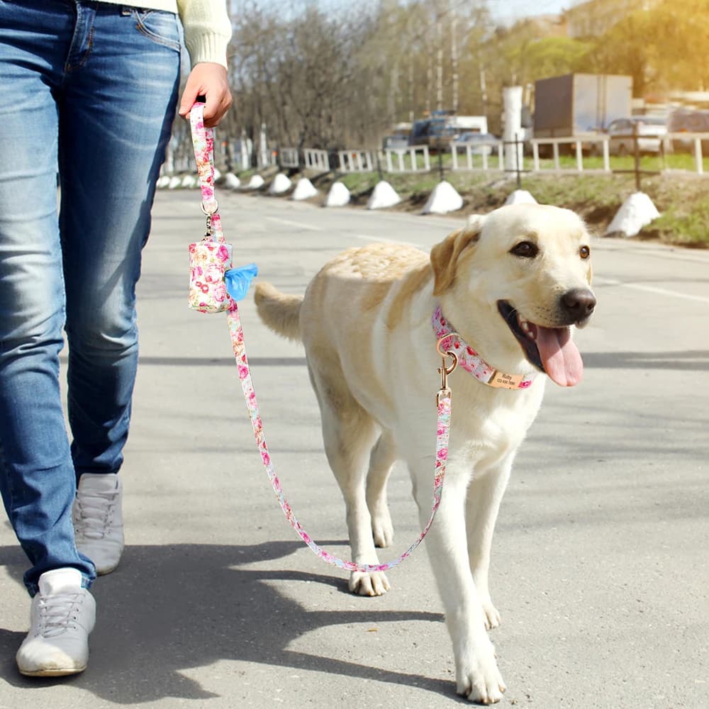 Ensemble de collier et laisse de chien en nylon à imprimé floral, colliers personnalisés pour animau