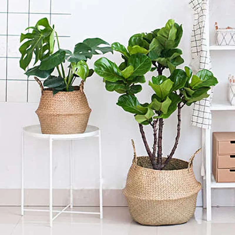 Tissé sale stockage jonc de mer osier rotin suspendu Pot de fleur plante organisateur jardin Gadgets