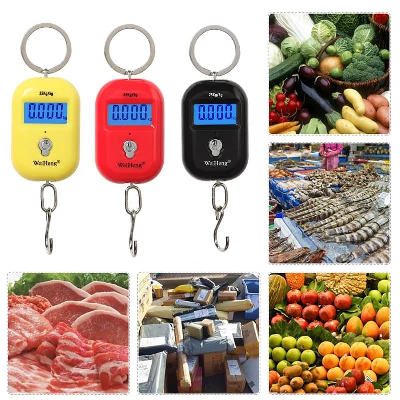 Mini Balance numérique de pêche électronique 25Kg 5g, Balance de poche pour bagages avec crochet sus