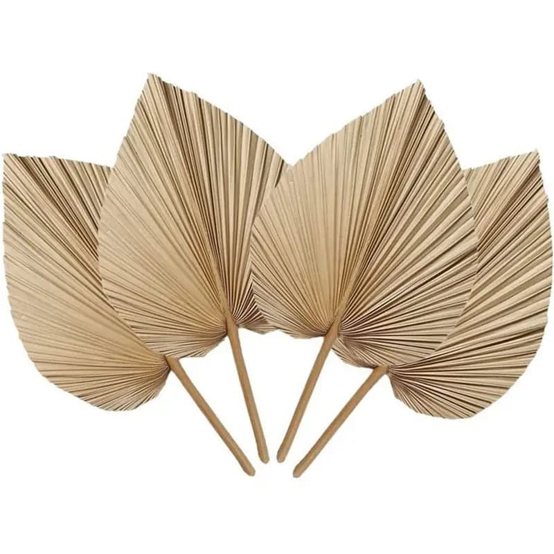 4 feuilles de palmier séchées naturelles, parfaites pour la décoration de la maison, la décoration b