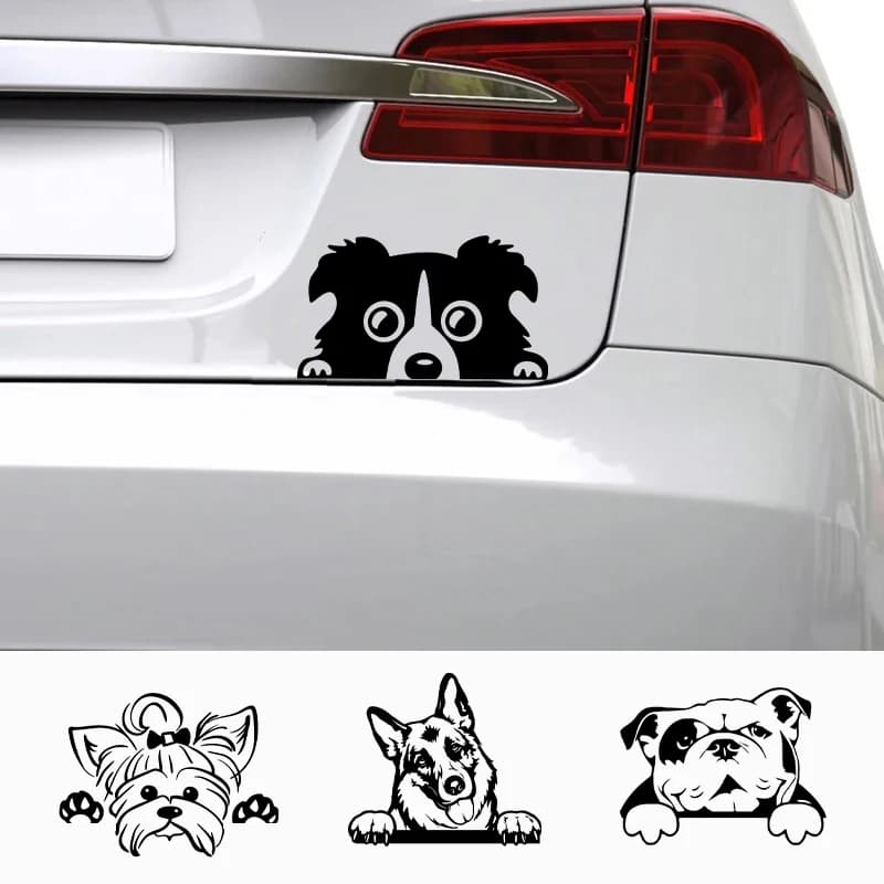 Voitures accessoire décalcomanies drôle chien avec nom voiture décalcomanie chiens animaux de compag