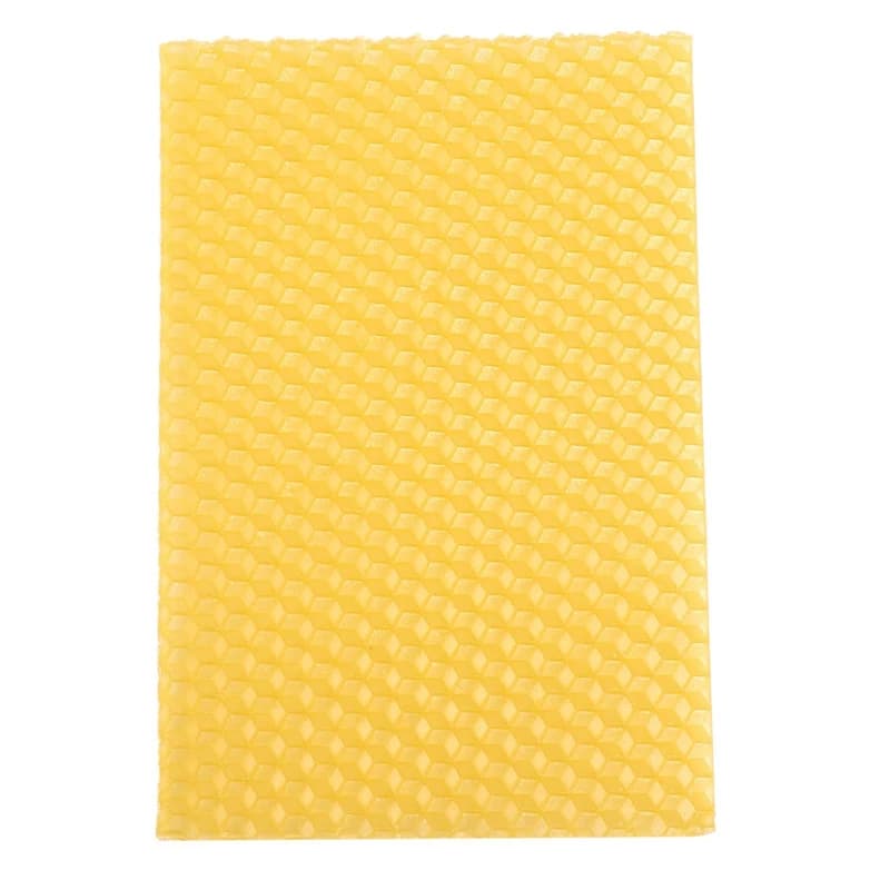 Ruche pour apiculture, 50 pièces, cadre de base en nid d'abeille, ruche de jardin, outils pour l'api