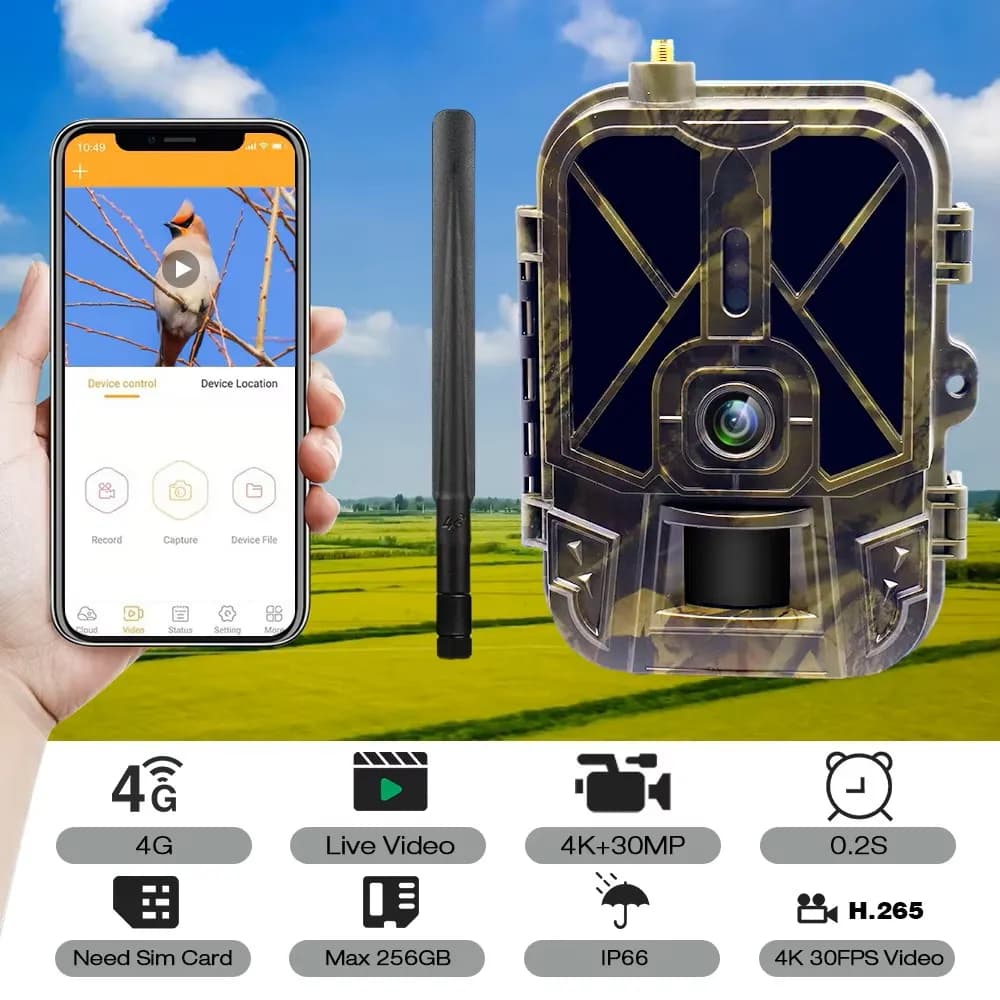 Caméra de surveillance 4K en direct 4G 30MP avec service cloud APP, caméras de chasse, batterie Li-i