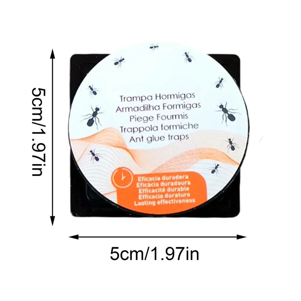 Pièges à fourmis d'extérieur, 3 pièces, boîte d'appât pour le contrôle des fourmis, pièges à mouches