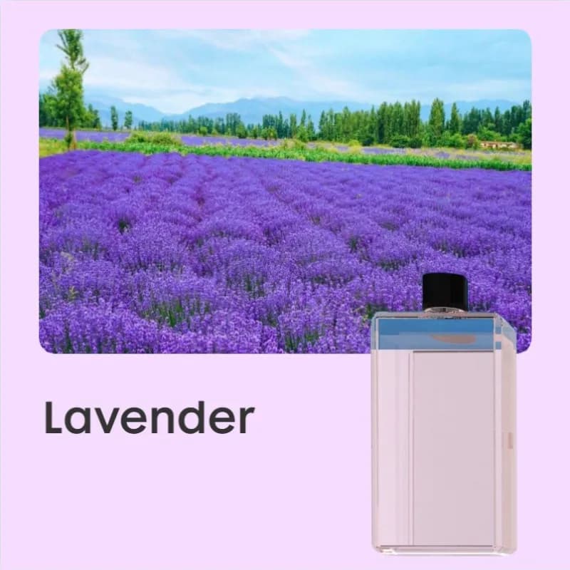 Six niveaux réglables, la gamme de diffusion est plus large, produits désodorisant d'aromathérapie p