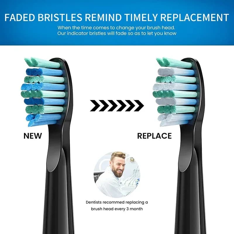 Têtes de brosse de rechange pour brosse à dents électrique Seago/Fairywill, FW/SG 507/508/515/551/91