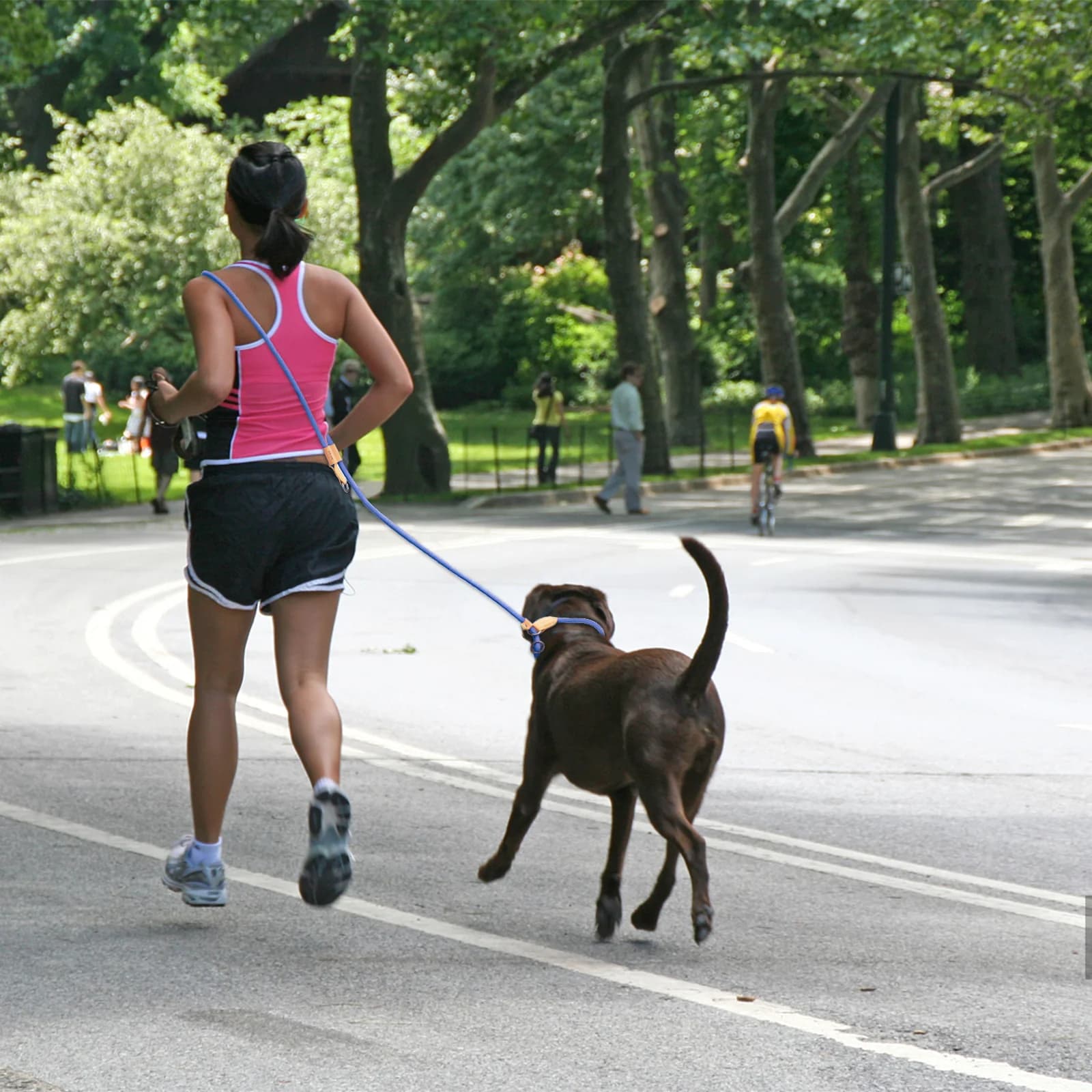 Laisse pour chien multifonctionnelle réglable en forme de P, chaîne de Traction, pour la course à pi