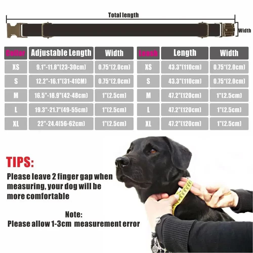 Collier de chien personnalisé colliers pour animaux de compagnie gravure gratuite nom d'identificati