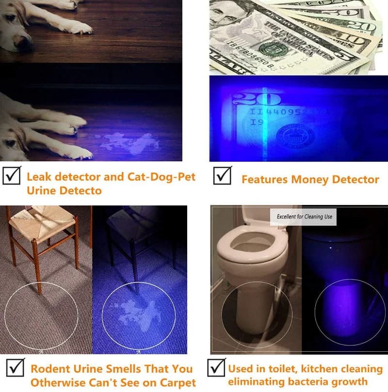 Lampe de poche UV portative à lumière noire, Mini torche lumineuse 395nm, détecteur pour chiens, tac