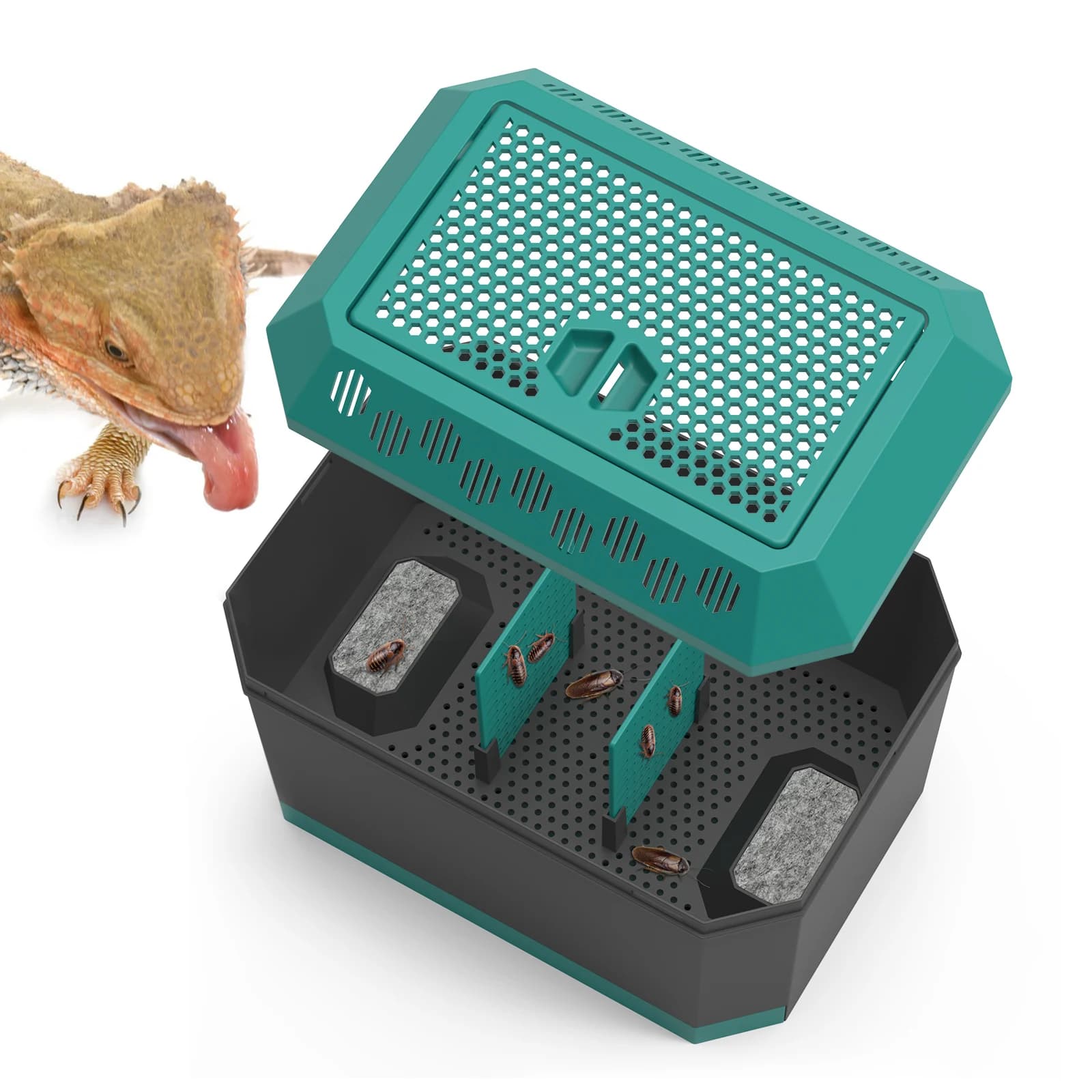 Habitat multi-usages pour insectes, idéal pour les grillons, les blattes Dubia, les vers de pain et 