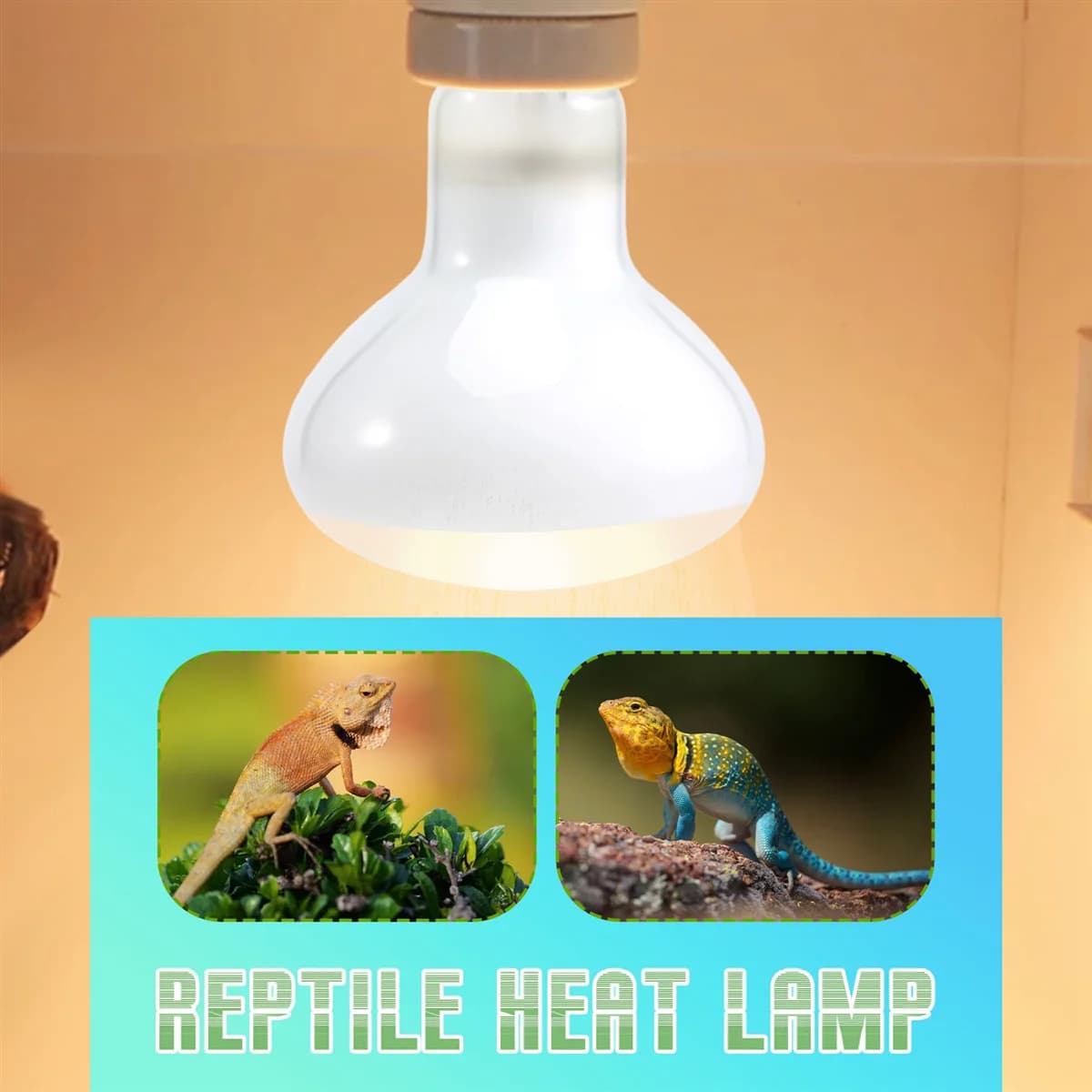 Ampoule de lampe chauffante Uvb Uva pour reptile, véritable chaleur brillante semblable au soleil po