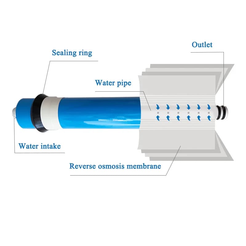 Membrane de remplacement pour système d'eau, barrage de cuisine, osmose RO, filtre supporter ficateu